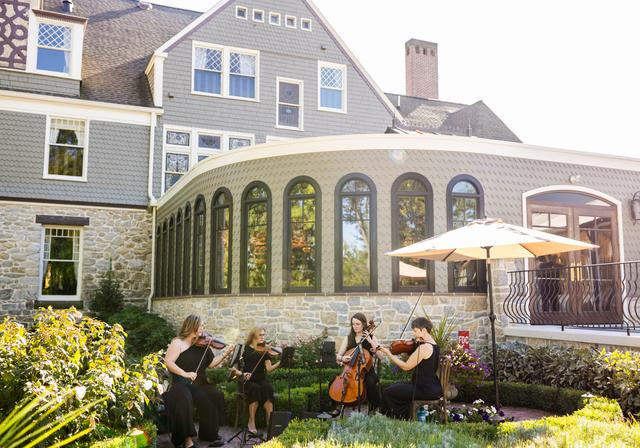 Vivace Live String Quartet - 4