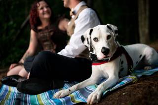 Matthew Druin & Co. Photography - 14