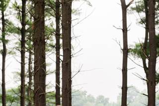 Juneberry Media - 21