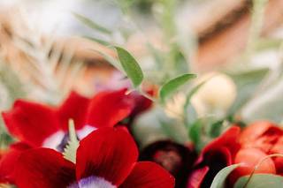 Down to Earth Flowers & Gifts - 9