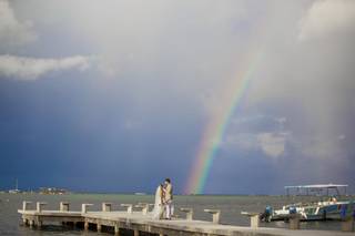 Tropical Pictures - 55
