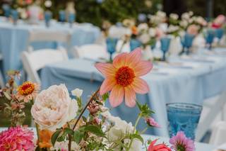 Hand + Heart Weddings and Events - 11