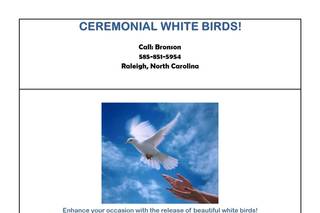 Ceremonial White Birds - 1