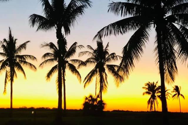 South Seas Island Resort 5