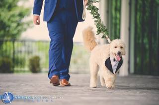 Wedding Puptials - 19