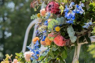 Kris Kandel: Photographer - 7