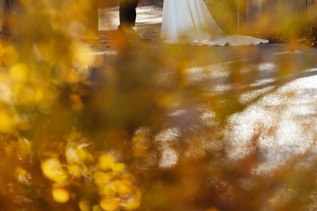 Denver Botanic Gardens 5