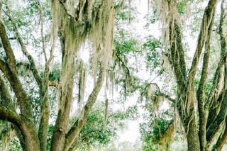 Prime & Ivy by Donaldson Photography - 6