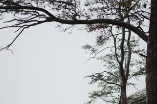Megan Fox Photography - 5