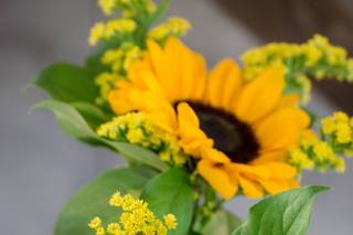 Flowers by Edith - 1