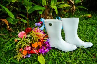 Blue Butterfly Events - 78
