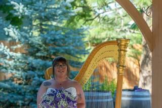 Tahoe Harpist - 6