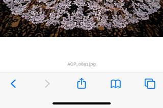 Adam Opris Photography - 19