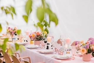 Julie Shuford Photography - 26