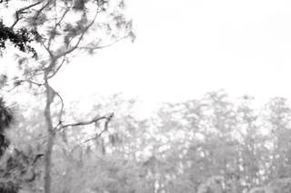 Ceci Liz Photography - 12