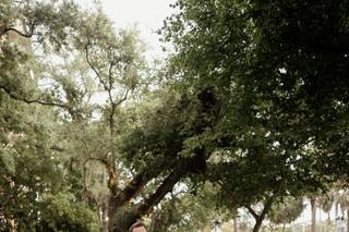 Pronovias - 5