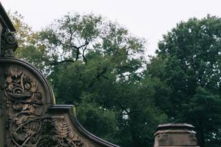 A Central Park Wedding - 62