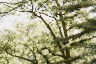 Garrett Scott Photography - 9