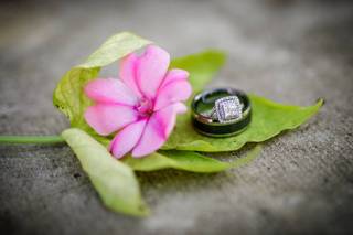 Corey Carpenter Photography - 15