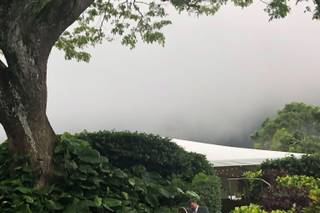 Kualoa Ranch - 77