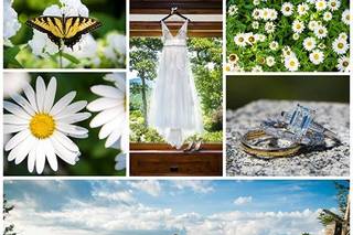 Little's Photography - 1
