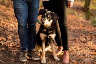 Steven Dangerfield Photography - 5