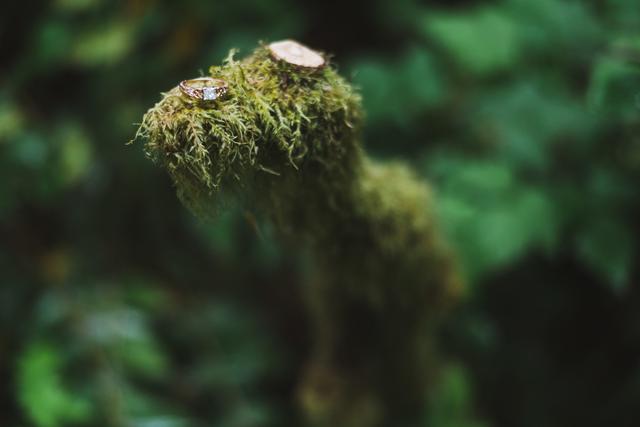 Sean Carr Photography - 3