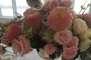PDR Events by Pamela M. D'Orsi - 14