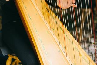 Goldenwood Ensembles - 19