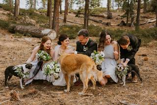 Ceremonies by Meredith - 50