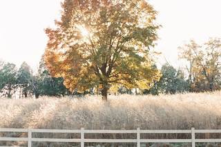 Marblegate Farm - 13
