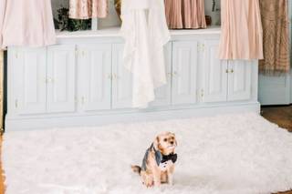 Stacy Smith Studios - 12