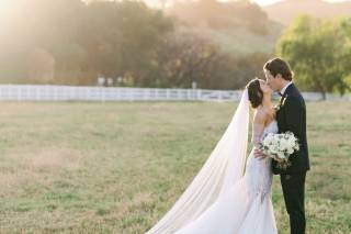 Greg Ross Photography - 12
