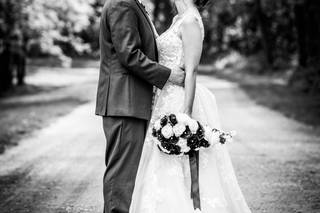 blackcap photography - 24