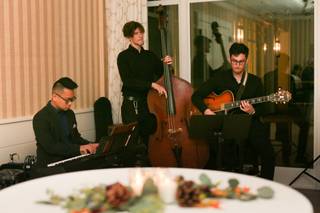 D'Amico Entertainment - 12