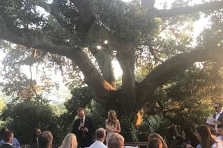 Portola Inn - 56