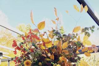 Blossoming Bough Flowers - 19