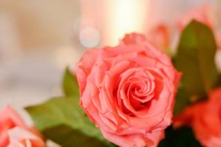 Iza's Flowers - 58