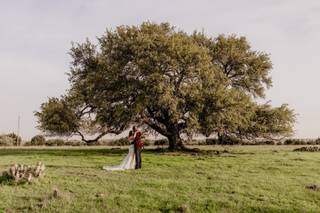 Bridget O’Connor Photography - 4