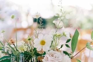 Kristine Herman Photography - 10