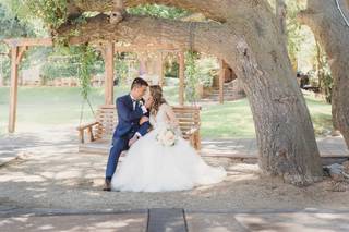 Circle Oak Ranch - 9