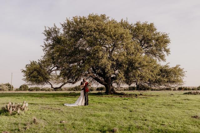Bridget O’Connor Photography - 1