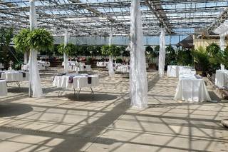 Buchwalter Greenhouse - 30