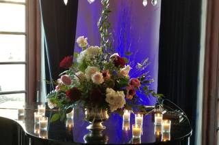 Lora Wardman Events - 16