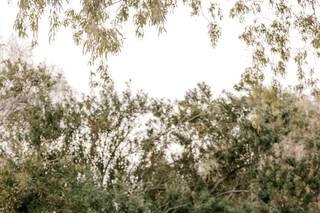 Brooke Magee Photography - 17