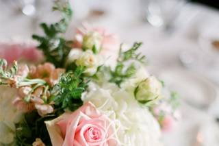Wildflowers - 6