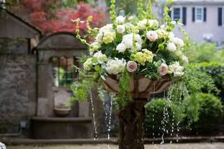 Pod Shop Flowers - 35