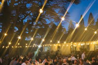 Opihi Love Destination Wedding & Events - 41
