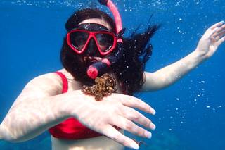Perfect Honeymoons - 5