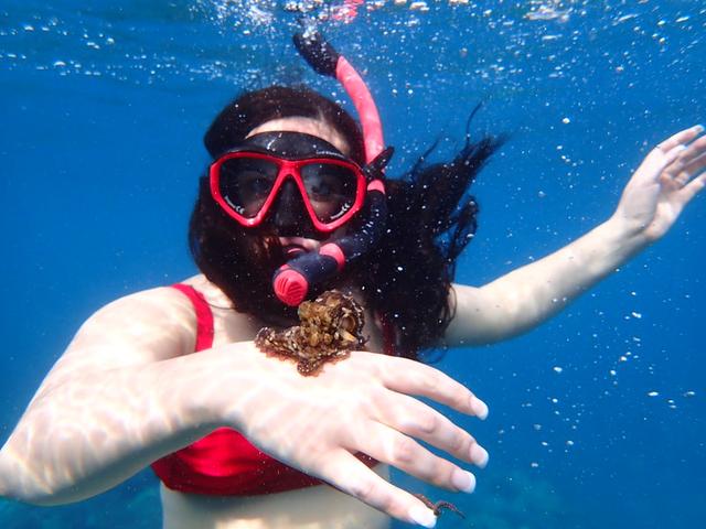 Perfect Honeymoons - 1